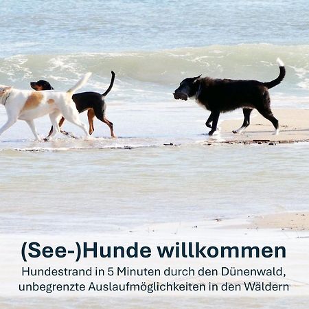 Paradies-Ambiente - Strandnah, Sauna, Kamin, Hundefreundlich Zinnowitz Εξωτερικό φωτογραφία