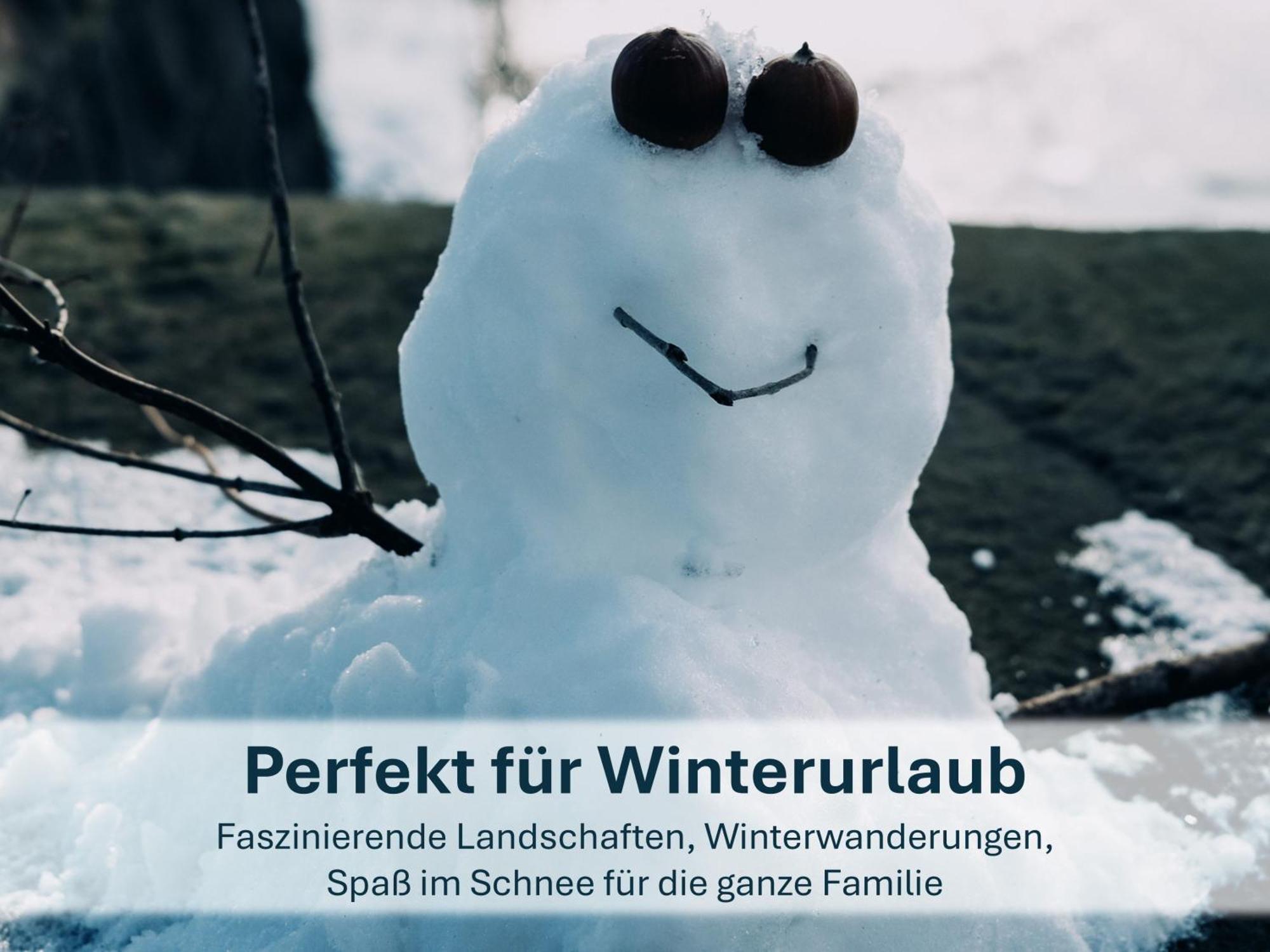 Paradies-Ambiente - Strandnah, Sauna, Kamin, Hundefreundlich Zinnowitz Εξωτερικό φωτογραφία