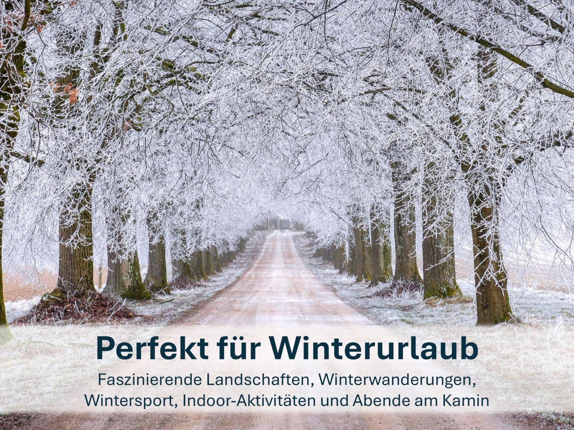 Paradies-Ambiente - Strandnah, Sauna, Kamin, Hundefreundlich Zinnowitz Εξωτερικό φωτογραφία